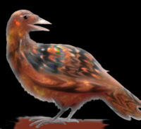 Perlhuhn_kl.jpg (12110 Byte)