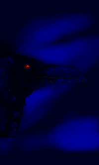 Rabe01.gif (19764 Byte)
