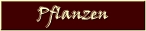 bt_Pflanzen.jpg (5085 Byte)