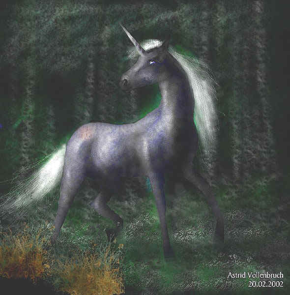 einhorn.jpg (105196 Byte)