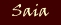 bt_Saia.jpg (2024 Byte)