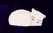 022porz