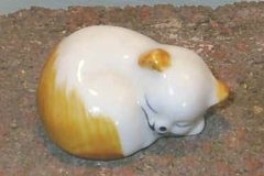 025porz