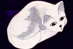 052gips