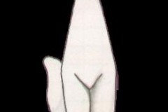 079porz2