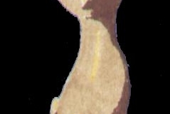 082messing2